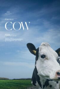 Andrea Arnold’s COW Opens April 8