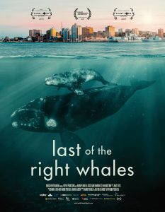 LAST OF THE RIGHT WHALES OPENS IN CANADIAN THEATRES ON JANUARY 23