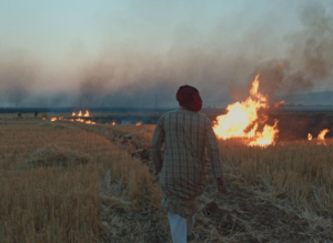 ROJEK by Zaynê Akyol – Official Competition at Visions du réel and Hot Docs